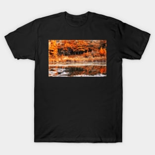 Autumnal Equinox T-Shirt